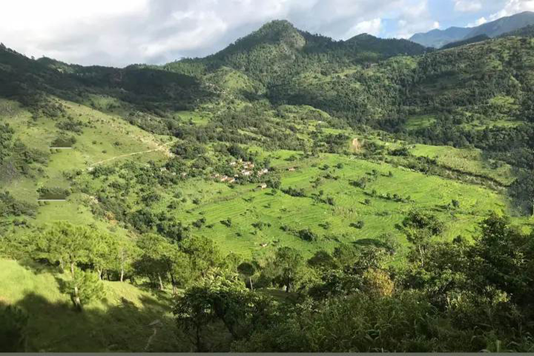 बैतडीको बाइम गाउँमा बिजुली बल्यो, स्थानीय हर्षित